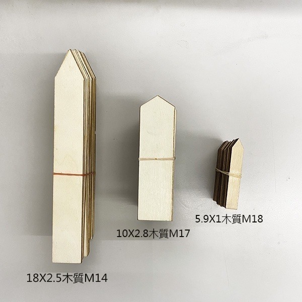 《插地植物一字型標籤》植物插地牌 植物標籤 園藝標籤 植物名牌 多肉記號牌 迷你標籤 竹木標籤 彩色標籤【飛兒】-細節圖3