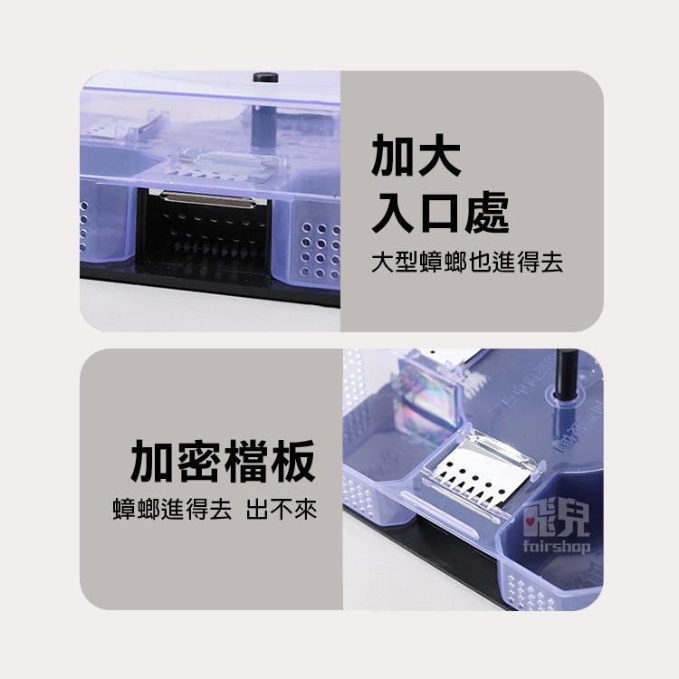 經典造型~ 蟑螂捕捉器 驅蟑 無毒抓蟑器 物理性捉蟑 家用抓蟑螂 抓蟑蟑 捕蟑螂 驅蟑螂 捉蟑螂神器 【飛兒】4-5-2-細節圖4