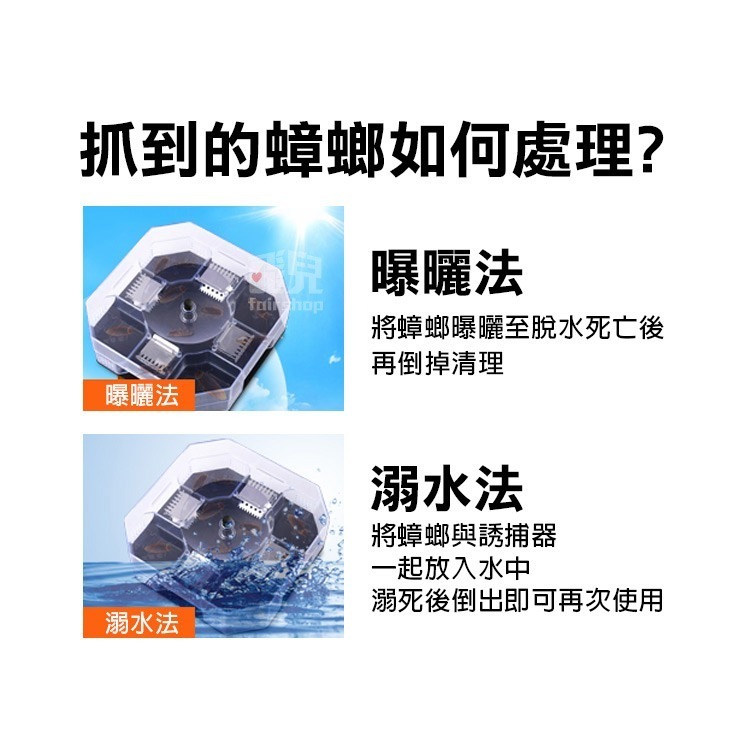 經典造型~ 蟑螂捕捉器 驅蟑 無毒抓蟑器 物理性捉蟑 家用抓蟑螂 抓蟑蟑 捕蟑螂 驅蟑螂 捉蟑螂神器 【飛兒】4-5-2-細節圖5