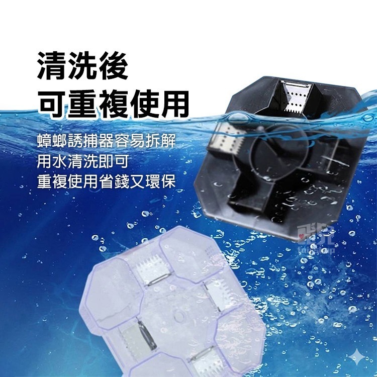 經典造型~ 蟑螂捕捉器 驅蟑 無毒抓蟑器 物理性捉蟑 家用抓蟑螂 抓蟑蟑 捕蟑螂 驅蟑螂 捉蟑螂神器 【飛兒】4-5-2-細節圖6