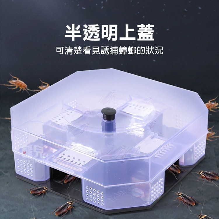 經典造型~ 蟑螂捕捉器 驅蟑 無毒抓蟑器 物理性捉蟑 家用抓蟑螂 抓蟑蟑 捕蟑螂 驅蟑螂 捉蟑螂神器 【飛兒】4-5-2-細節圖7