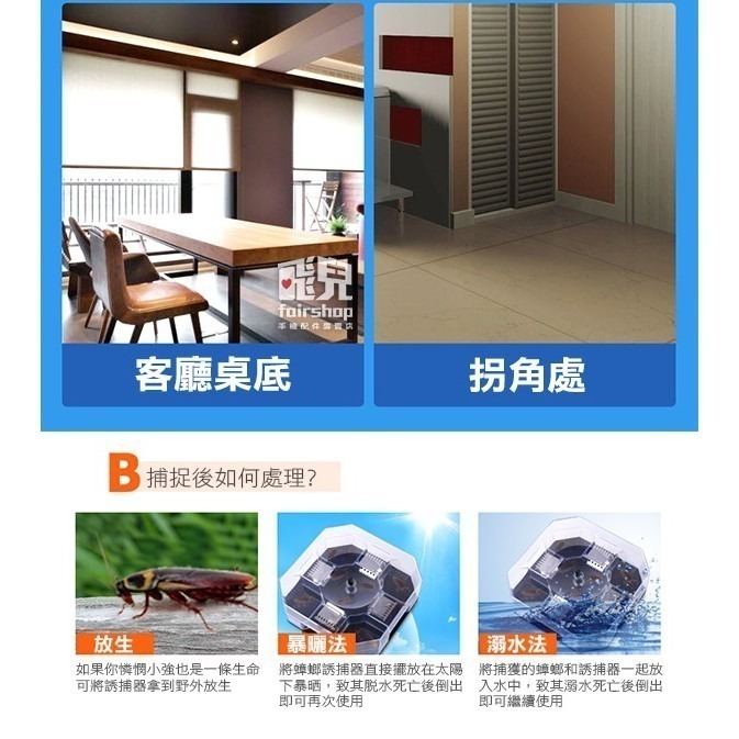 經典造型~ 蟑螂捕捉器 驅蟑 無毒抓蟑器 物理性捉蟑 家用抓蟑螂 抓蟑蟑 捕蟑螂 驅蟑螂 捉蟑螂神器 【飛兒】4-5-2-細節圖6