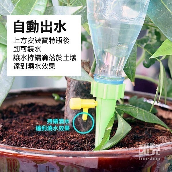 《寶特瓶自動澆花器 一般款/專利款》礦泉水瓶 寶特瓶 滲水器 滴灌 盆栽 花卉盆栽 自動滴水器【飛兒】3-8-12/13-細節圖2