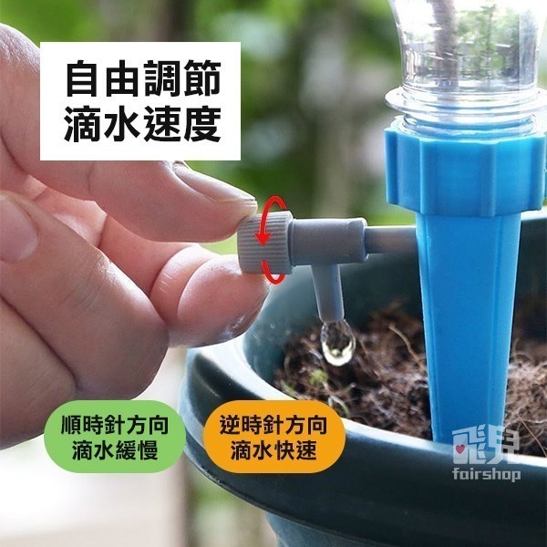 《寶特瓶自動澆花器 一般款/專利款》礦泉水瓶 寶特瓶 滲水器 滴灌 盆栽 花卉盆栽 自動滴水器【飛兒】3-8-12/13-細節圖3