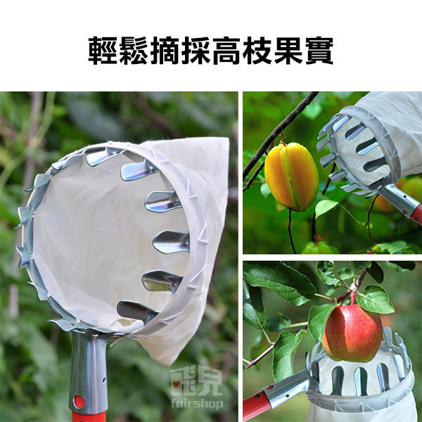 《金屬水果採果器》摘果器 高空摘果器 便攜摘果器 採水果 收納袋 不銹鋼 園藝 五金工具【飛兒】4-5-22-細節圖3
