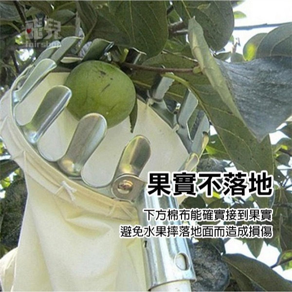 《金屬水果採果器》摘果器 高空摘果器 便攜摘果器 採水果 收納袋 不銹鋼 園藝 五金工具【飛兒】4-5-22-細節圖5