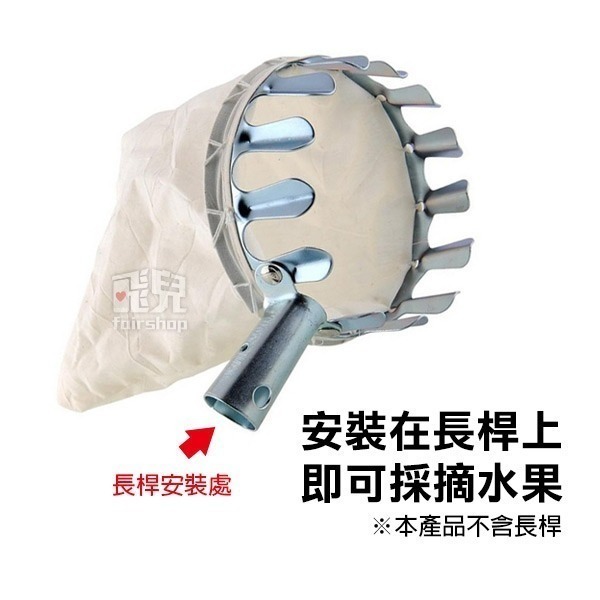 《金屬水果採果器》摘果器 高空摘果器 便攜摘果器 採水果 收納袋 不銹鋼 園藝 五金工具【飛兒】4-5-22-細節圖2