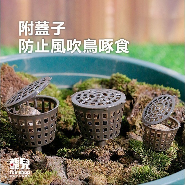 《肥料專用盒帶蓋子》肥料籃 肥料盒 根肥盒 緩效施肥 玉肥盒 插土肥料【飛兒】7-6-11-細節圖2