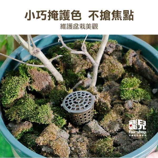 《肥料專用盒帶蓋子》肥料籃 肥料盒 根肥盒 緩效施肥 玉肥盒 插土肥料【飛兒】7-6-11-細節圖3