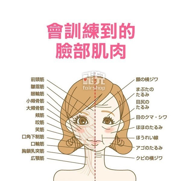 瘦臉神器！DOYEN 嘴唇鍛鍊器 瘦臉神器 瘦臉工具 瘦臉器 瓜子臉塑造器 小臉美人 微笑練習器【飛兒】-細節圖4