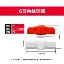 《PPR球閥/凡而開關》活接開關 水管管件 魚缸閘閥 水管凡而 控水開關 塑料給水管【飛兒】8-7-23~25-規格圖5