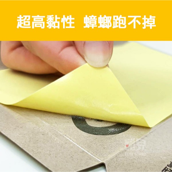 明星款！ 降價！《五先生 強力黏蟑螂屋 10張 》黏蟑貼 蟑螂屋 黏蟑板 蟑螂貼 蟑螂捕捉器 蟑螂工具【飛兒4-5-23-細節圖3