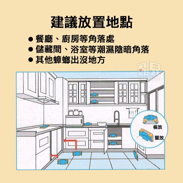 明星款！ 降價！《五先生 強力黏蟑螂屋 10張 》黏蟑貼 蟑螂屋 黏蟑板 蟑螂貼 蟑螂捕捉器 蟑螂工具【飛兒4-5-23-細節圖7