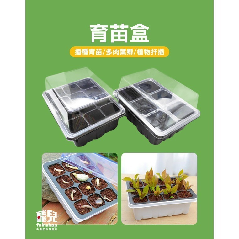 《育苗盒》育苗盆 育苗盤 育苗盒 育苗箱 培育盆 培育盤 培育盒 培育箱 種子育苗箱 小溫室【飛兒】7-6-21/22-細節圖2