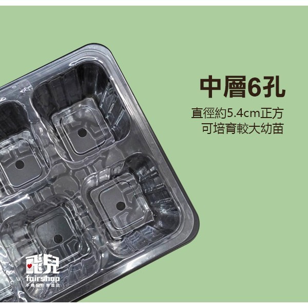 《育苗盒》育苗盆 育苗盤 育苗盒 育苗箱 培育盆 培育盤 培育盒 培育箱 種子育苗箱 小溫室【飛兒】7-6-21/22-細節圖4