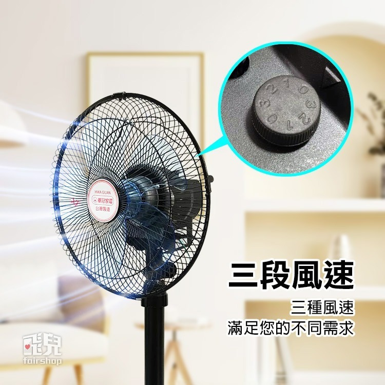 《華冠12吋360度立扇》BT-1212 台灣製造 360度擺頭 電扇 風扇【飛兒】-細節圖2