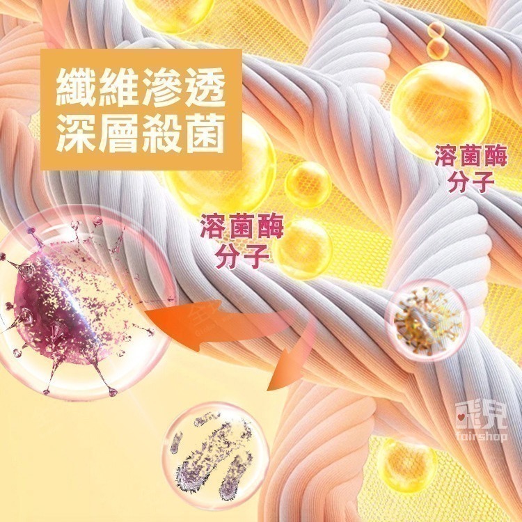 《布面床墊除霉劑》床墊清潔神器 床墊去黴 沙發除霉 布面去黴 床墊去污 免水清洗 去霉斑【飛兒】20-2-22-細節圖6