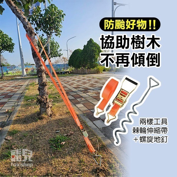 不怕颱風《樹木扶正帶》棘輪伸縮帶+螺旋地釘 樹木防風 樹木固定帶 樹木支撐帶 防風帶【飛兒】-細節圖2