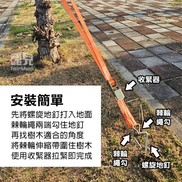 不怕颱風《樹木扶正帶》棘輪伸縮帶+螺旋地釘 樹木防風 樹木固定帶 樹木支撐帶 防風帶【飛兒】-細節圖8