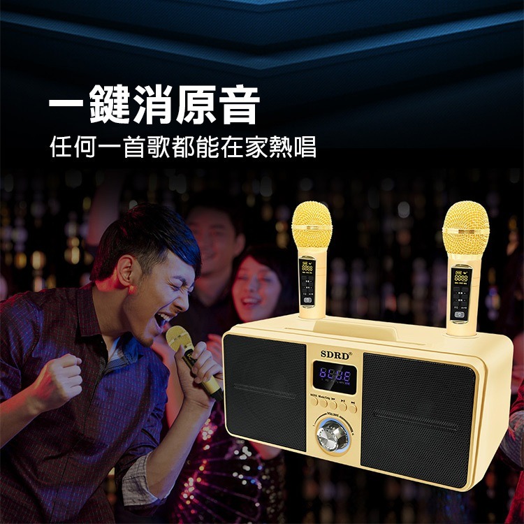 《SDRD麥克風音箱》藍牙音箱 雙人無線麥克風 KTV 卡拉OK 藍牙喇叭 藍牙音響【飛兒】Z38-細節圖3