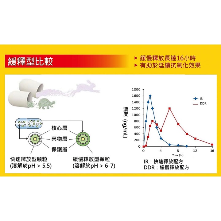 【Wisdom Life】POPO HAPPY 「緩釋型」維生素C膠囊(60粒)-細節圖6