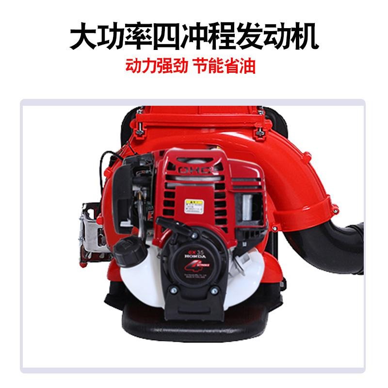 【聚優家電】汽油噴霧機 背負式噴粉機 26L四衝程打藥機 施肥機 消毒迷霧機 乾粉機 噴霧器 消毒噴槍 農用果園灌溉設備-細節圖3