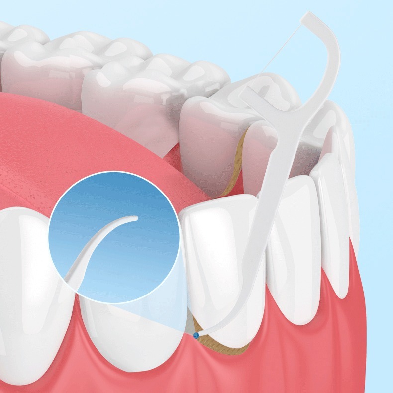康寶牙線棒(家庭號)360支/盒 牙線棒 口腔清潔-細節圖7
