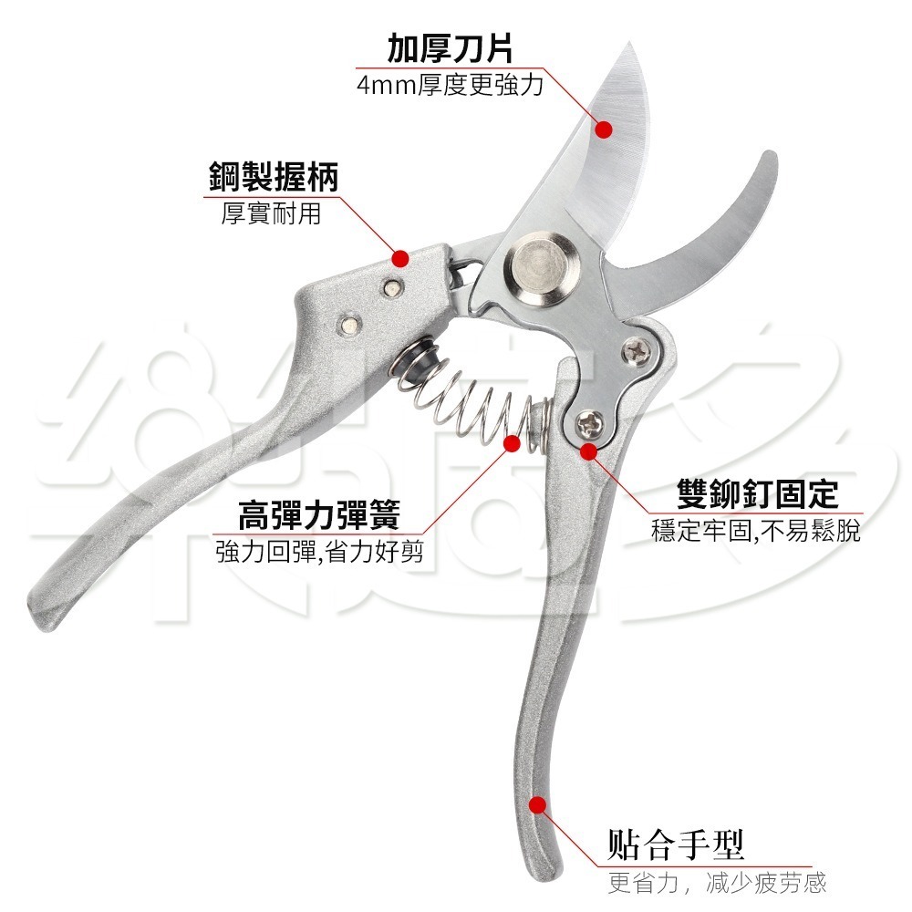園藝剪具 修枝剪 園藝剪刀 SIN6962-細節圖5