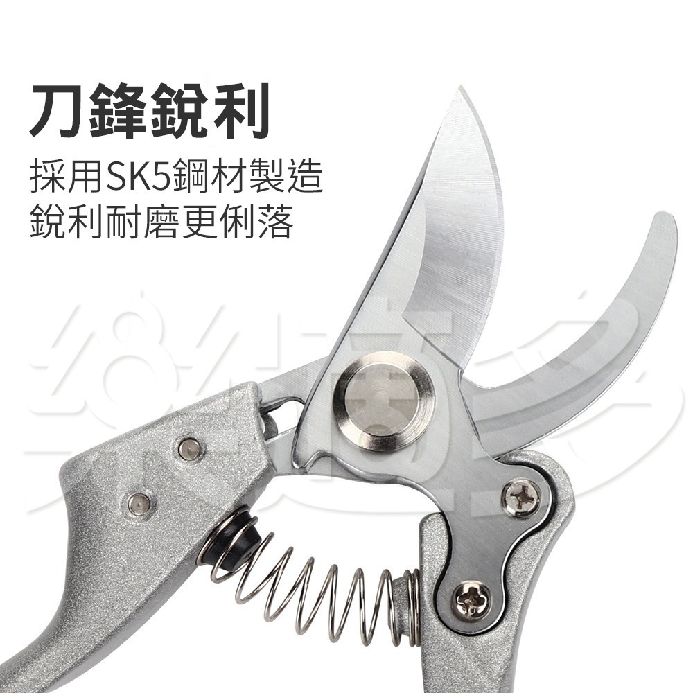 園藝剪具 修枝剪 園藝剪刀 SIN6962-細節圖8