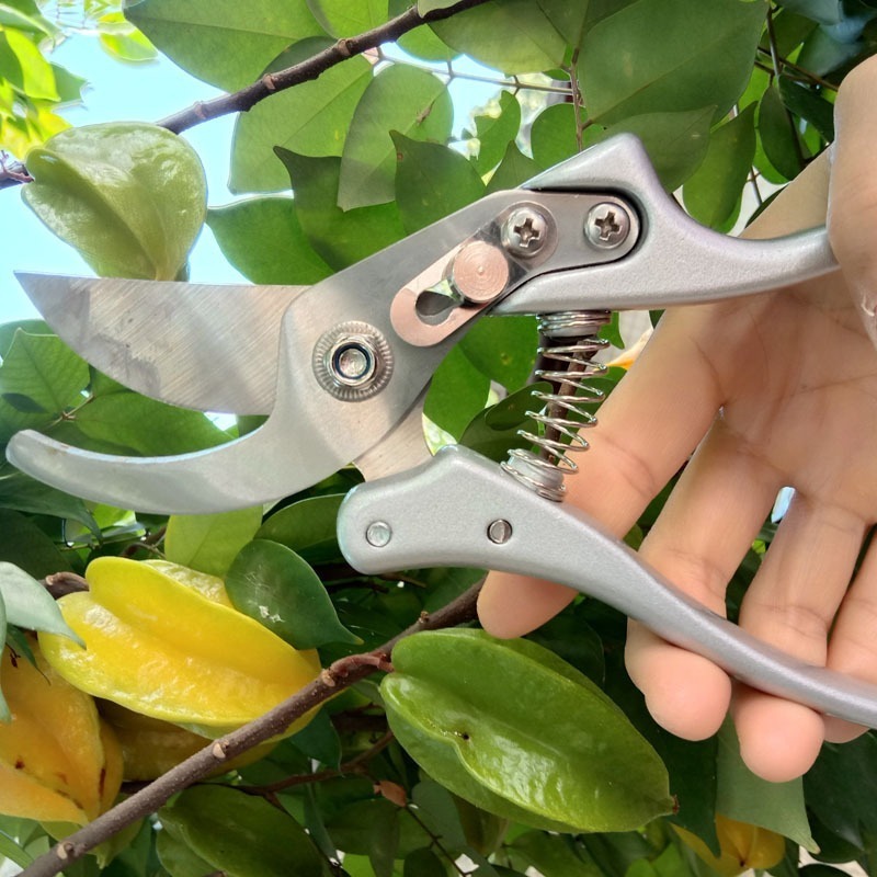 園藝剪具 修枝剪 園藝剪刀 SIN6962-細節圖10