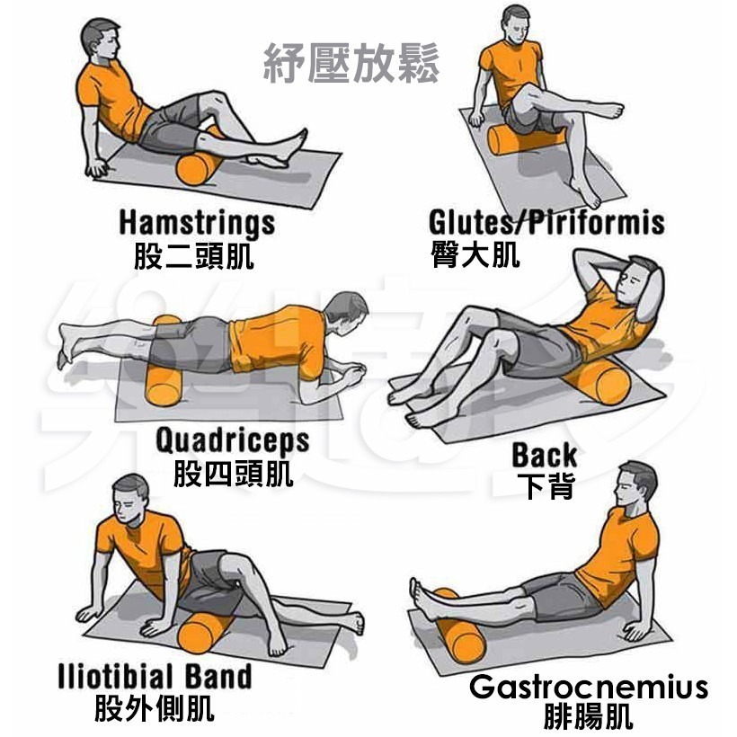 45cm狼牙瑜珈柱 SIN2327【隨機出貨】狼牙棒 瑜珈柱-細節圖10