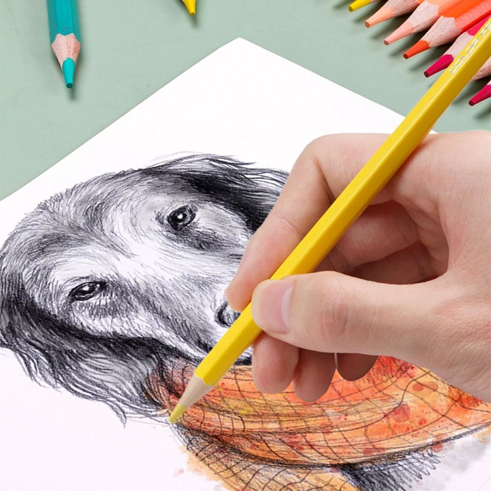 筒裝36色水性色鉛筆 SIN7907 水性色鉛筆 色鉛筆 著色筆 文具-細節圖11