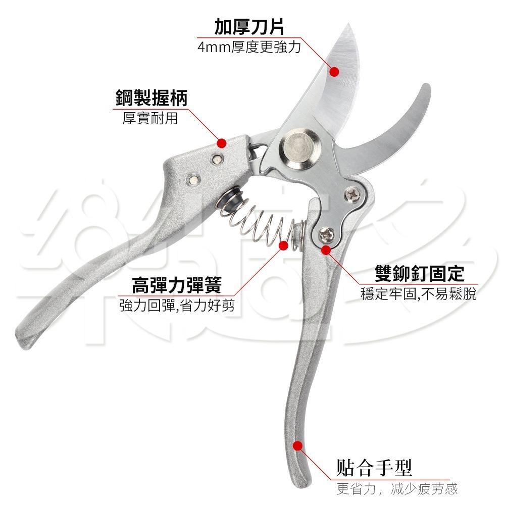 多功能防滑花剪 園藝剪刀 SIN6962 果樹剪 花枝剪刀 粗枝剪刀 樹枝剪 修枝剪 花剪-細節圖10