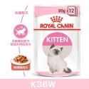 K36W幼貓主食濕糧
