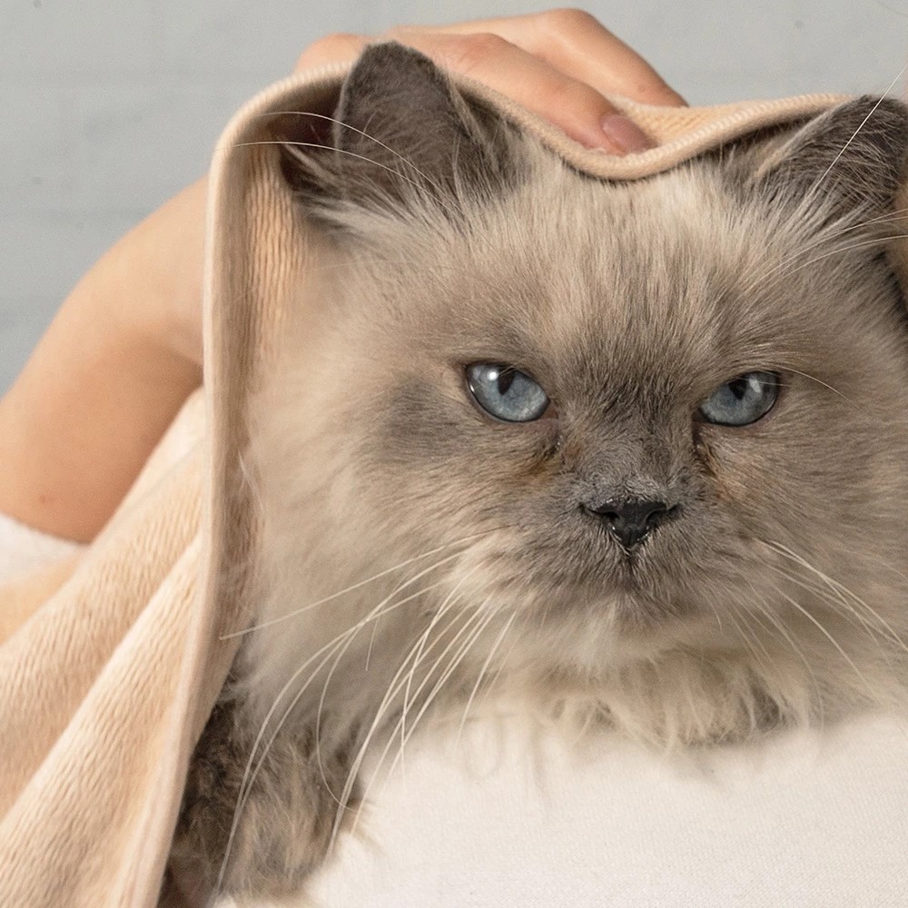 【汪喵星球】吸水速乾寵物浴巾 寵物浴巾 寵物毛巾 浴巾 毛巾 寵物清潔 寵物美容-細節圖5