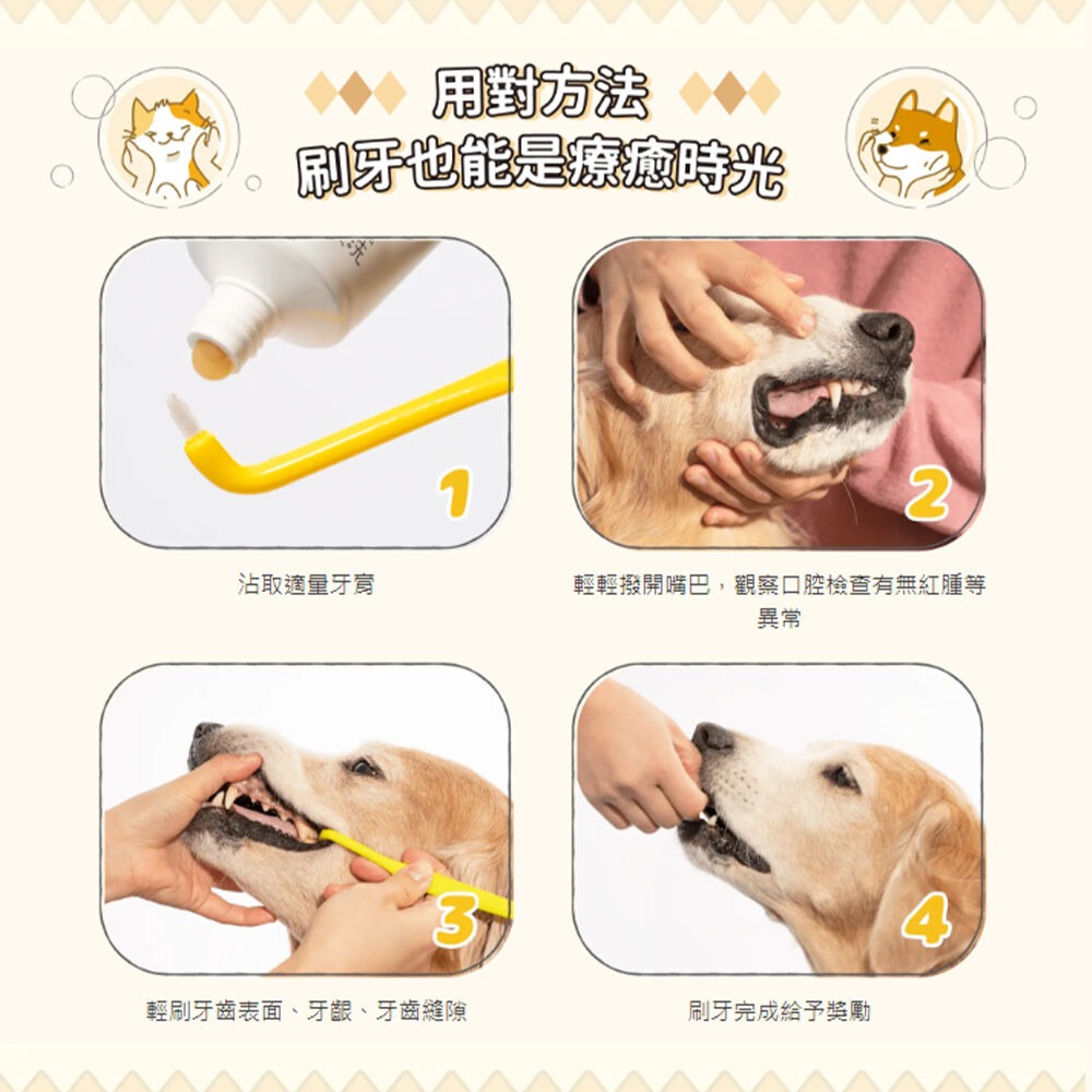 【毛起來】口腔對策 軟膠護齦指套 菱形密密刷 犬貓專用牙刷 初學刷牙 指套牙刷 寵物牙刷 犬貓牙刷-細節圖8