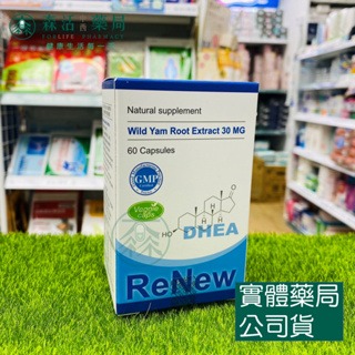 藥局現貨_ 賜爾康能 同賜汝蒙(原 惠爾蒙) DHEA 天然DHEA 加拿大進口 山芋萃取-膠囊60顆