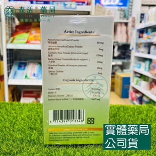藥局💊現貨_強力 褐藻醣膠 90粒 美國進口-細節圖3