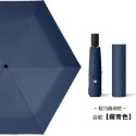 自動傘，藏青色