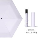 ☂️ 198g 節節收 安全 防回彈 日本 自動傘 省力 6骨 超輕傘 防曬 雨傘 黑膠  晴雨傘 小孩 兒童-規格圖9