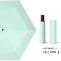 ☂️ 198g 節節收 安全 防回彈 日本 自動傘 省力 6骨 超輕傘 防曬 雨傘 黑膠  晴雨傘 小孩 兒童-規格圖9