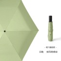 自動傘，抹茶綠格紋