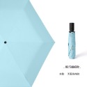 自動傘，天藍色格紋