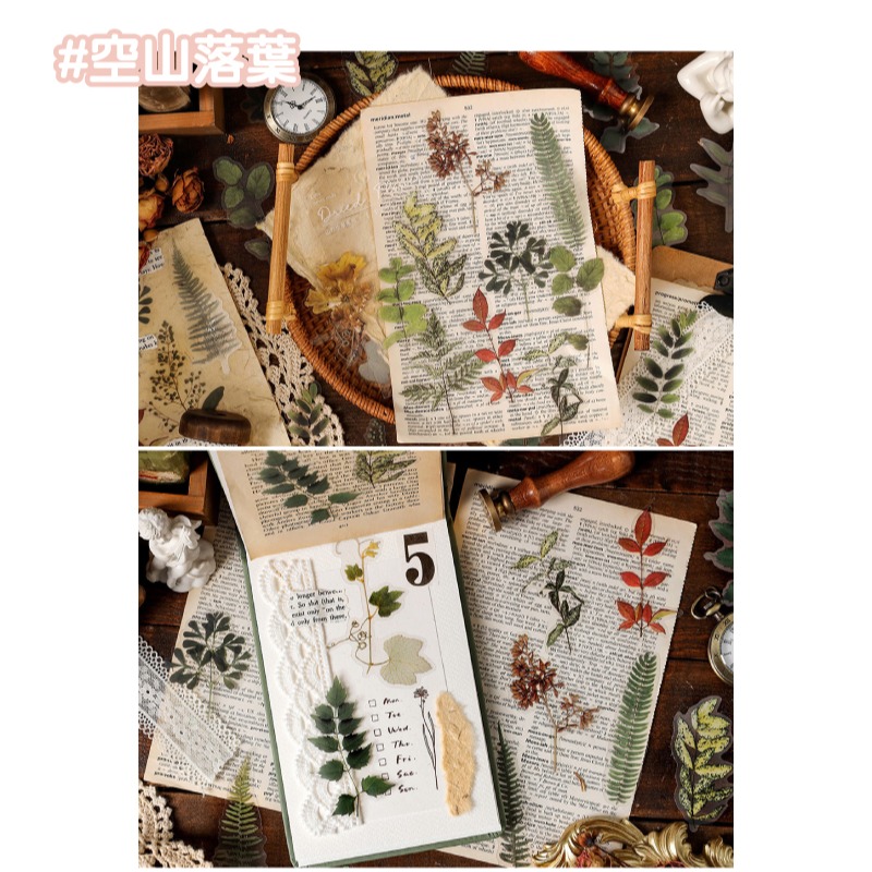 貼紙 復古山野植物貼紙包 手帳貼紙 押花 乾燥花 真實感 每包40枚-細節圖6
