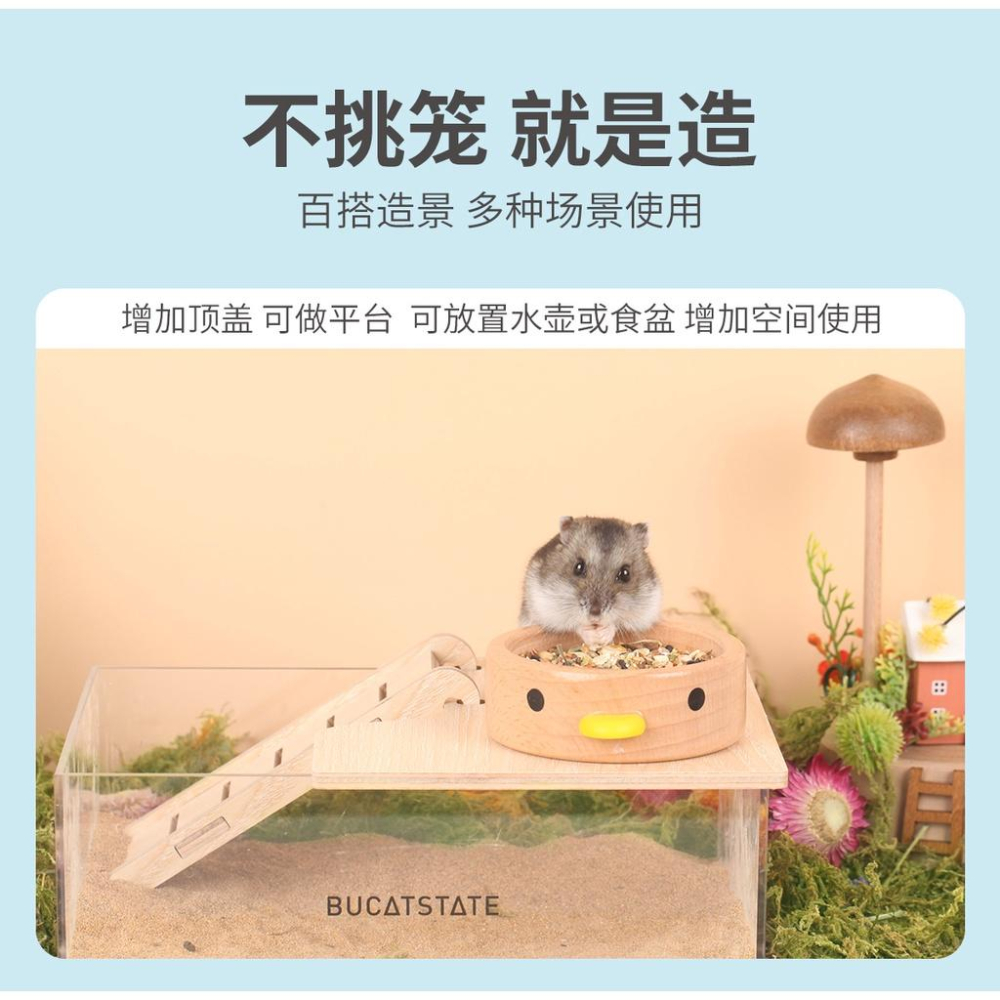 【哈姆斯特】布卡星 壓克力浴盆 贈送爬梯🧡倉鼠廁所 倉鼠浴室-細節圖6