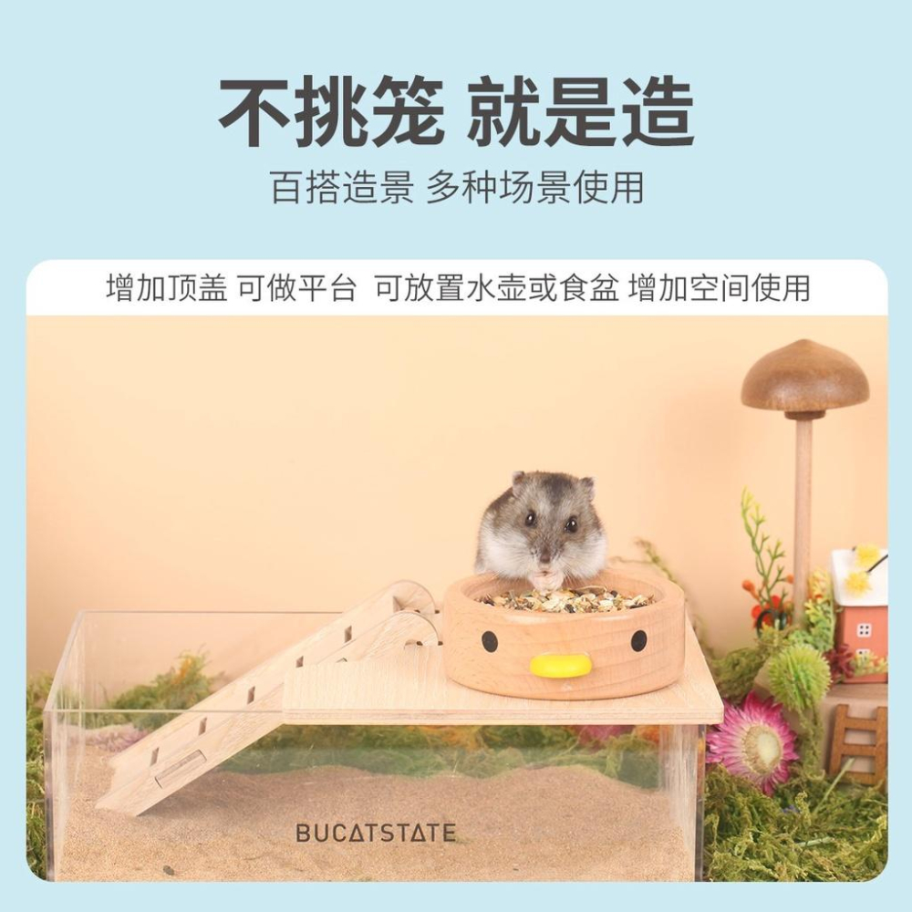 【哈姆斯特】布卡星 壓克力浴盆 贈送爬梯🧡倉鼠廁所 倉鼠浴室-細節圖8