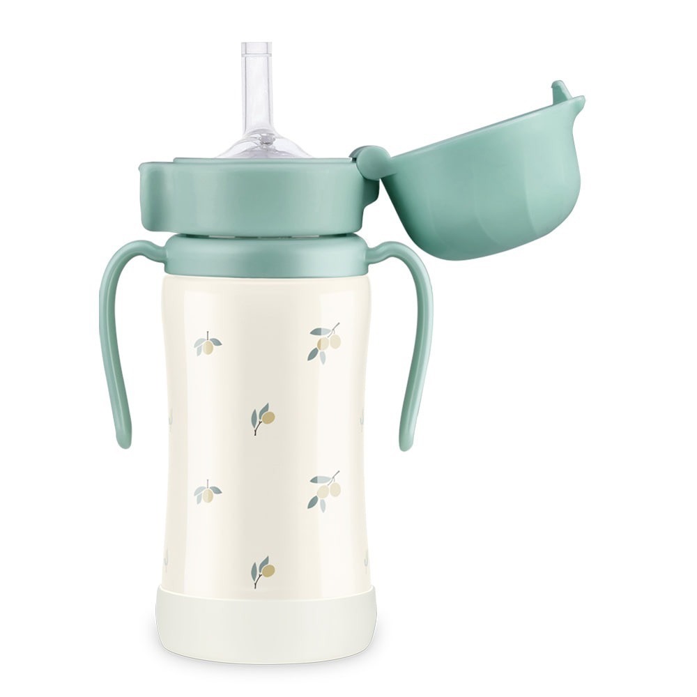 Grosmimi 韓國 保溫吸管杯 不銹鋼保溫杯 兒童吸管杯 DTD聯名款 防漏水杯 保溫杯 兒童保溫瓶【現貨】-細節圖2