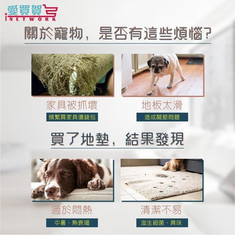 【台灣製免運】減震透氣止滑寵物墊 SGS檢驗 減少寵物負擔 兔子地墊 狗狗地墊 貓地墊 寵物地墊 愛買賀-細節圖2