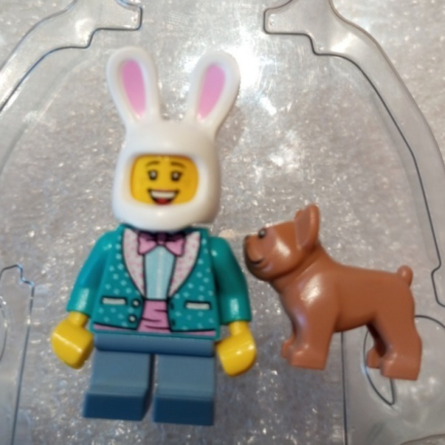 ［BrickHouse] LEGO 樂高 兔子裝男孩與狗 BAM 人偶 全新
