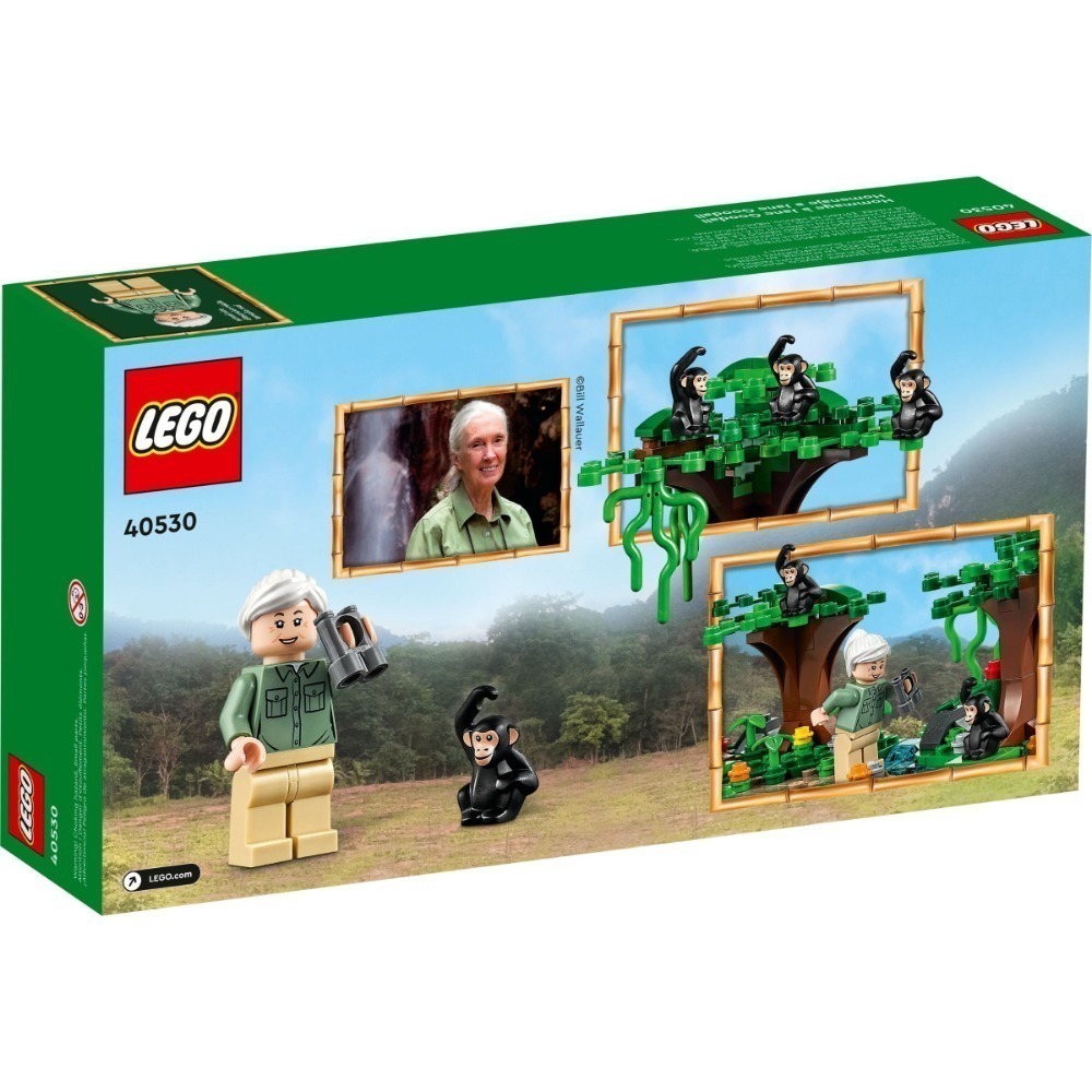樂高 LEGO 40530 Jane Goodall Tribute  致敬 珍・古德-細節圖2